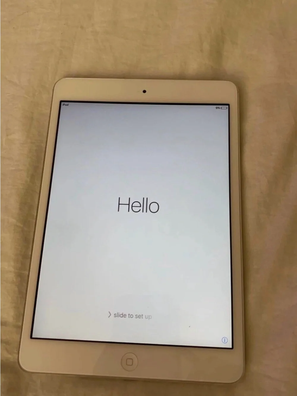 Apple iPad - Silver Back